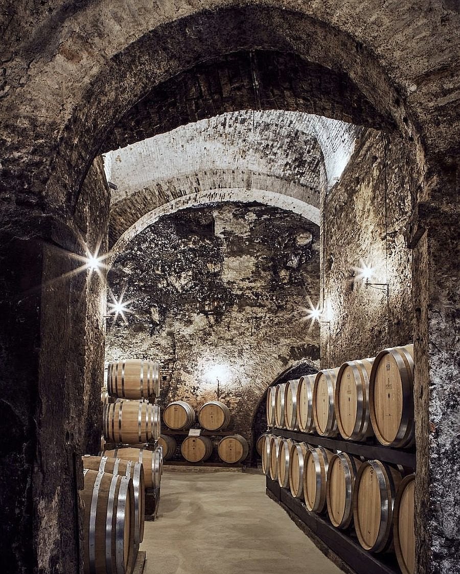 wine-urban-trekking1