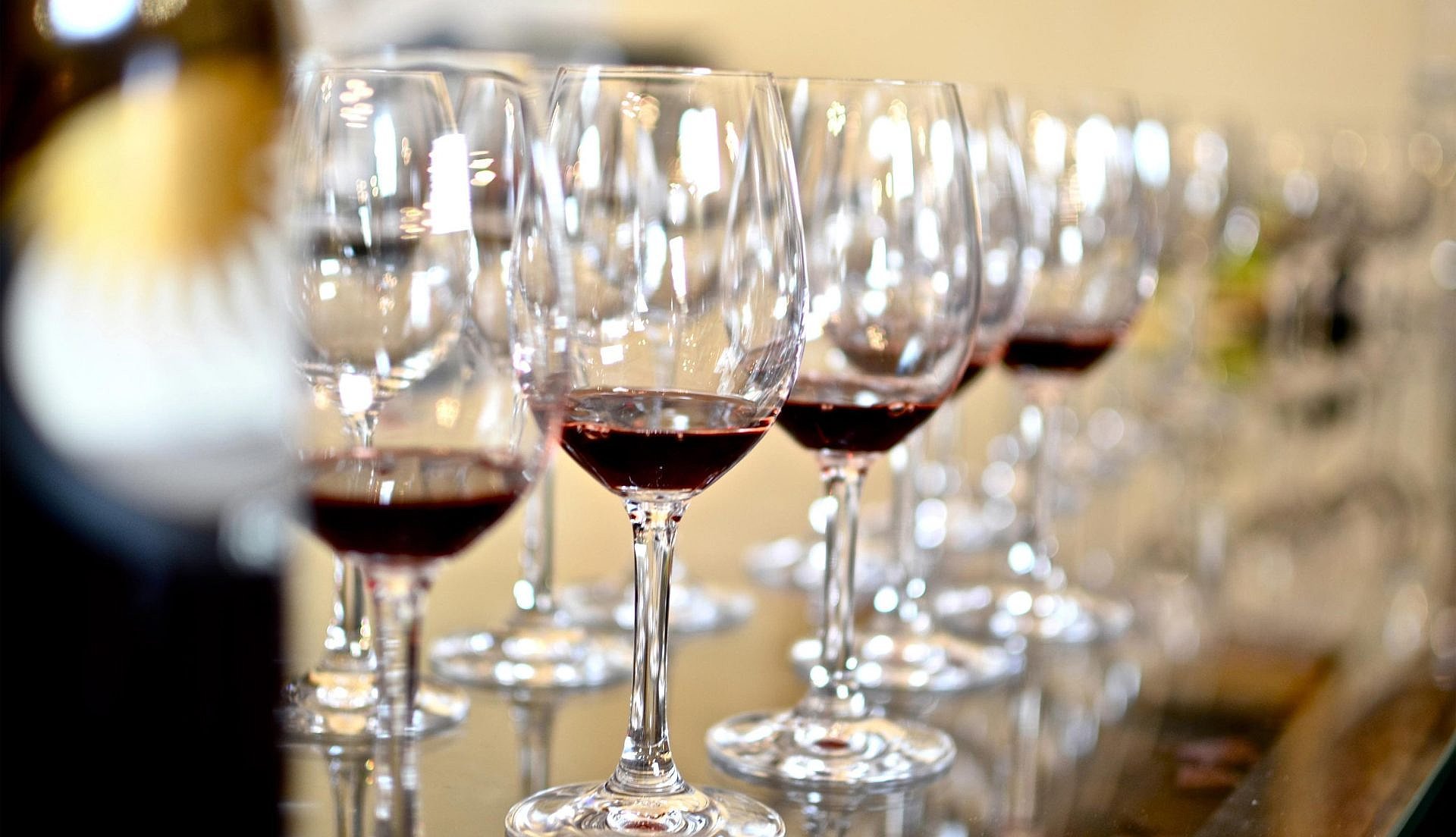 wine-tasting-tour-ricci-montepulciano1