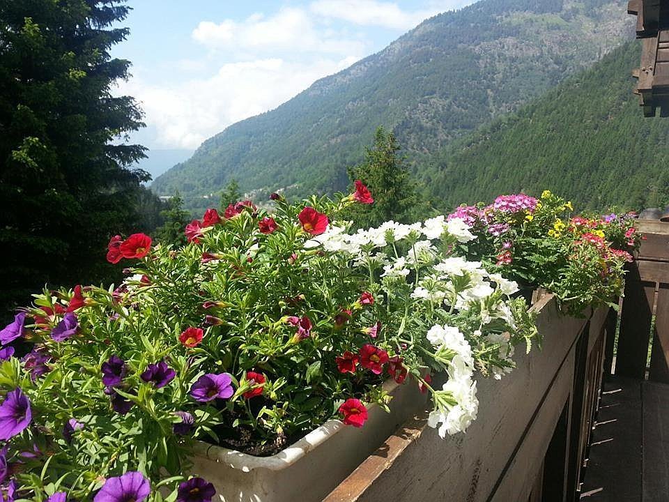Gallery image 855