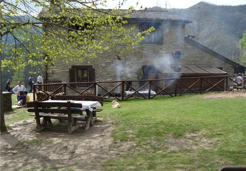 Gallery image 15798