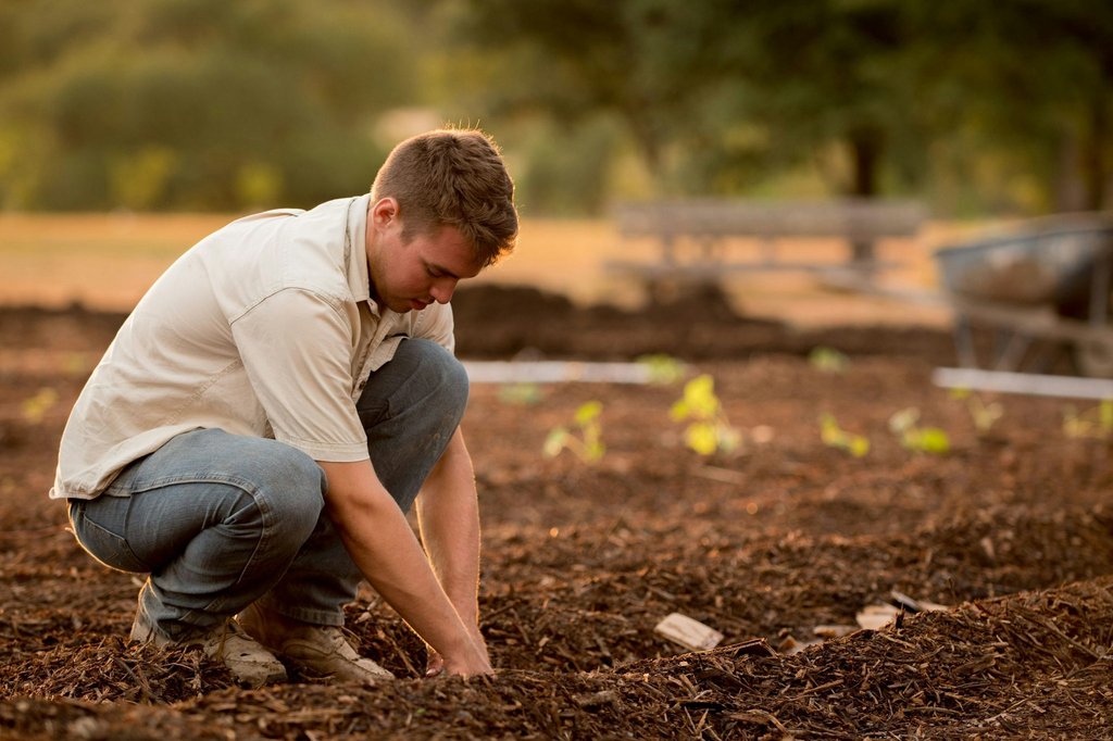 The Farmer Lifestyle