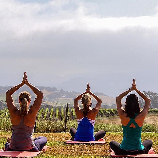 yoga-vineyard-novello