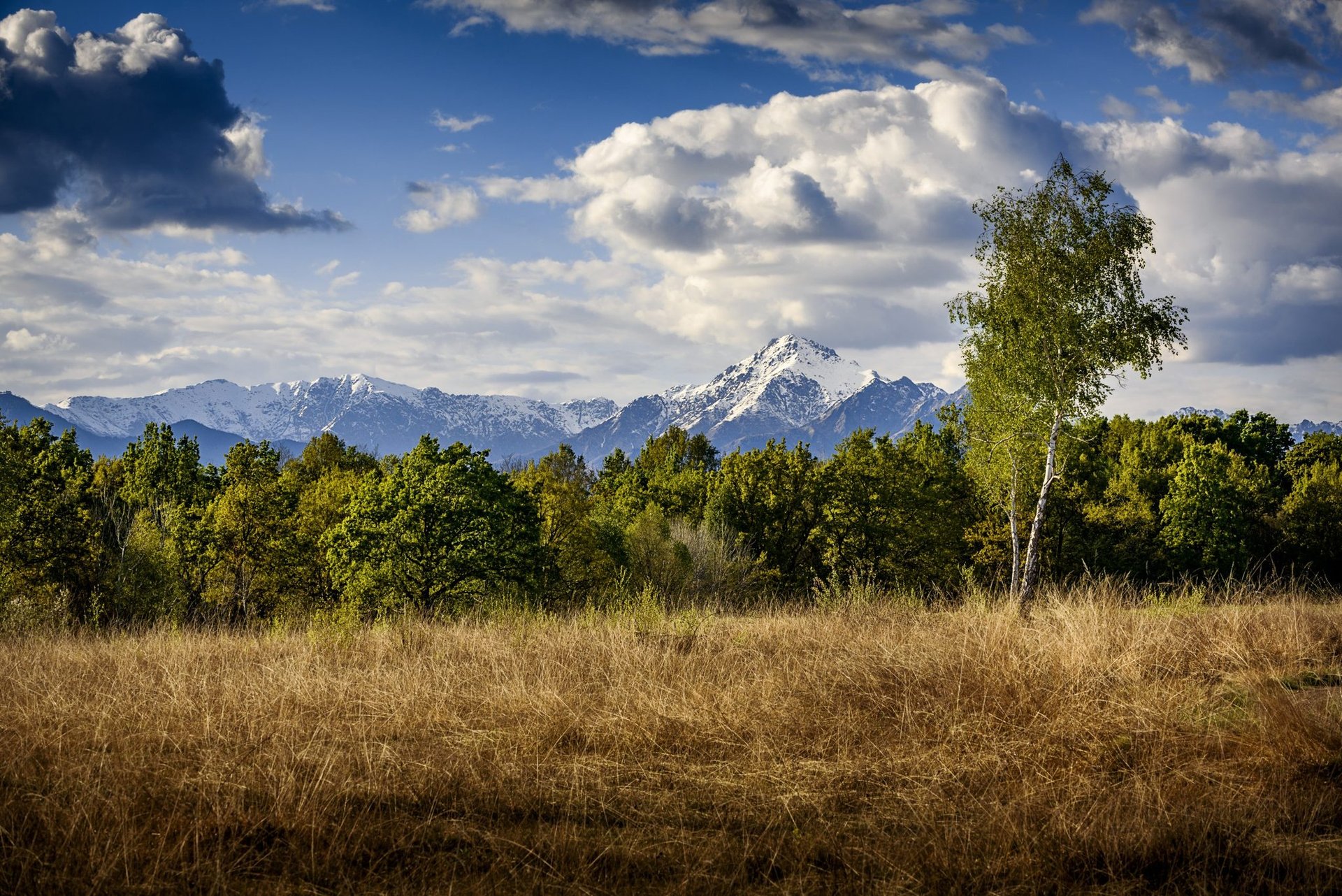Gallery image 14476