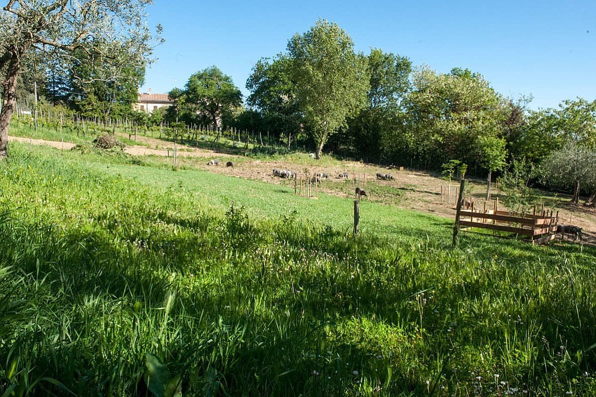 quad-tour-experience-montepulciano-smartway11