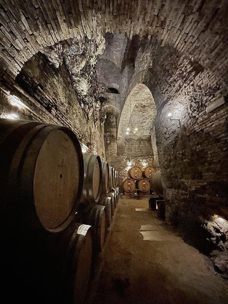 wine-tasting-tour-ricci-montepulciano7