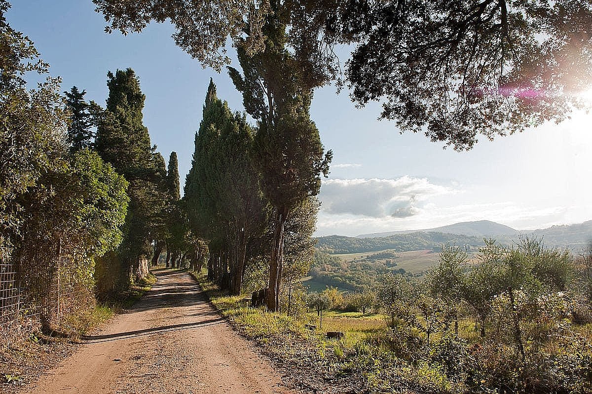 quad-tour-experience-montepulciano-smartway13