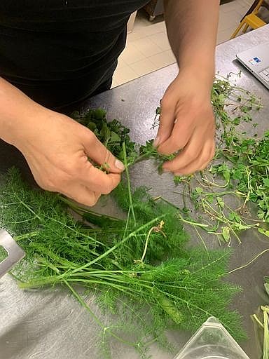 Gallery image 13006