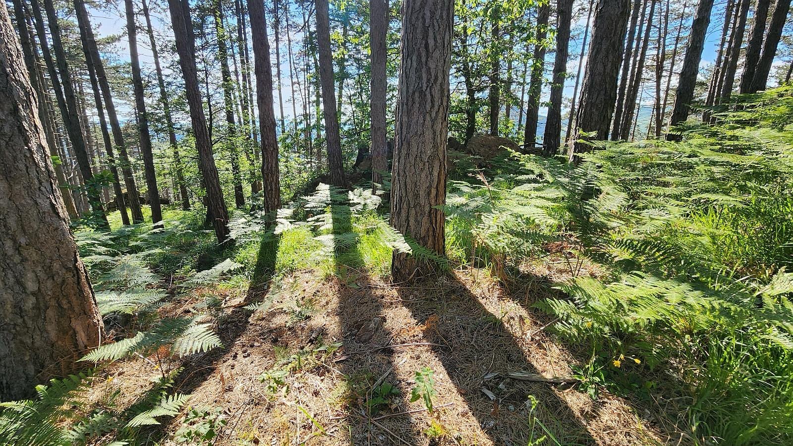 Venue image 9974