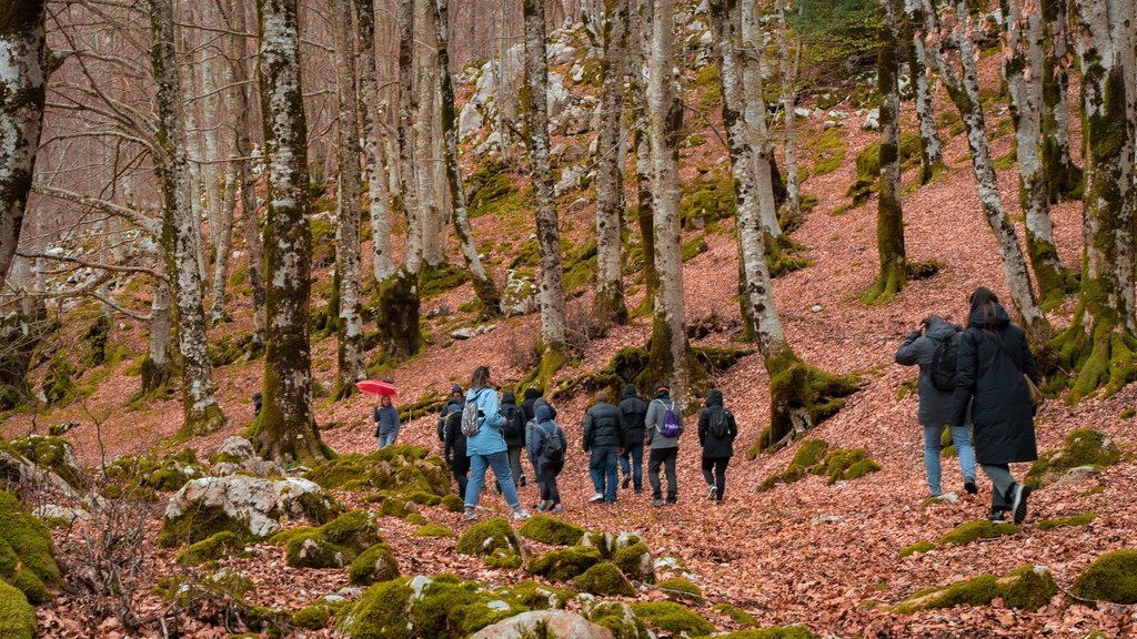 Roots of Ciociaria: a journey through tradition and nature