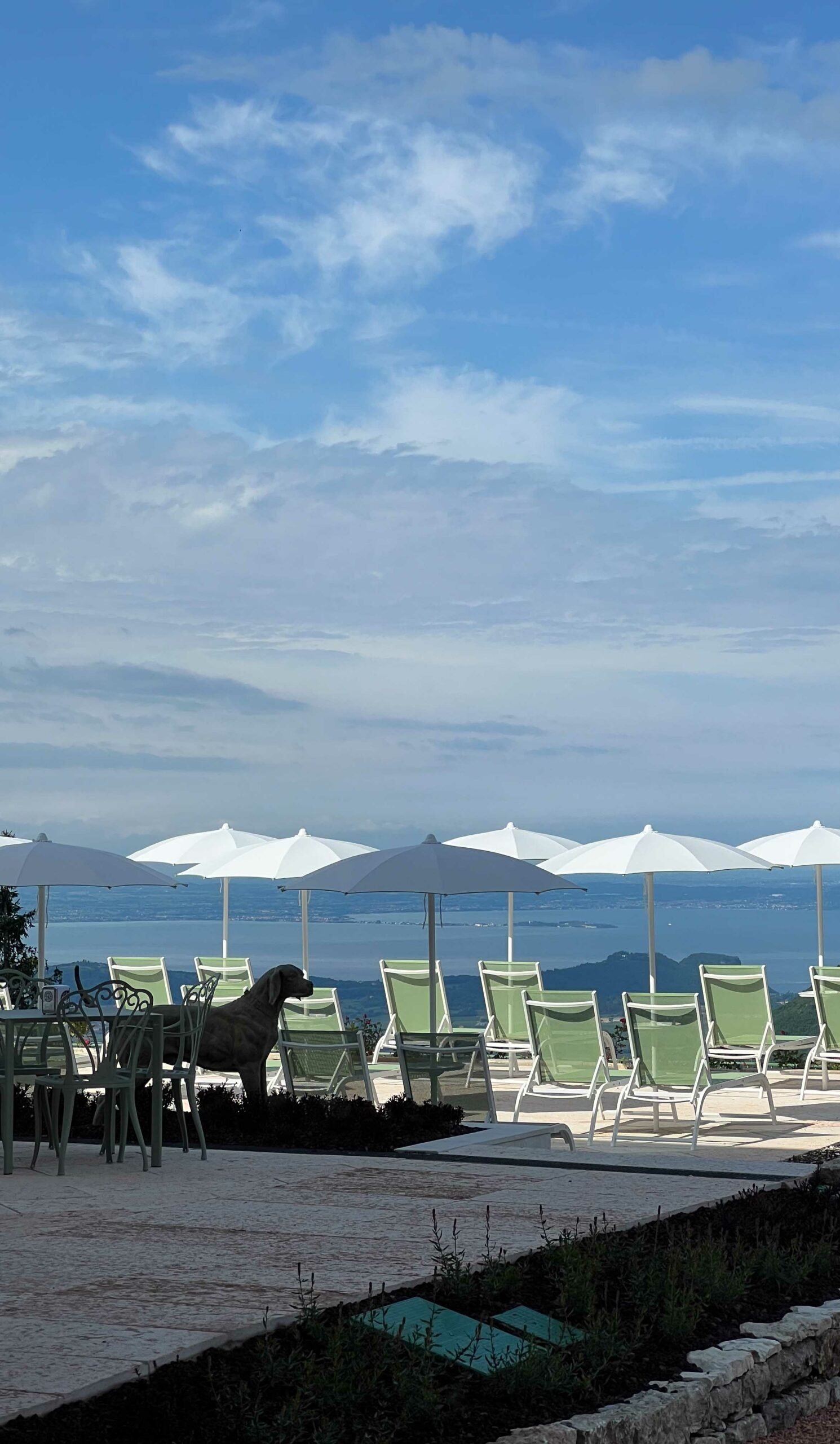 Venue image 1560