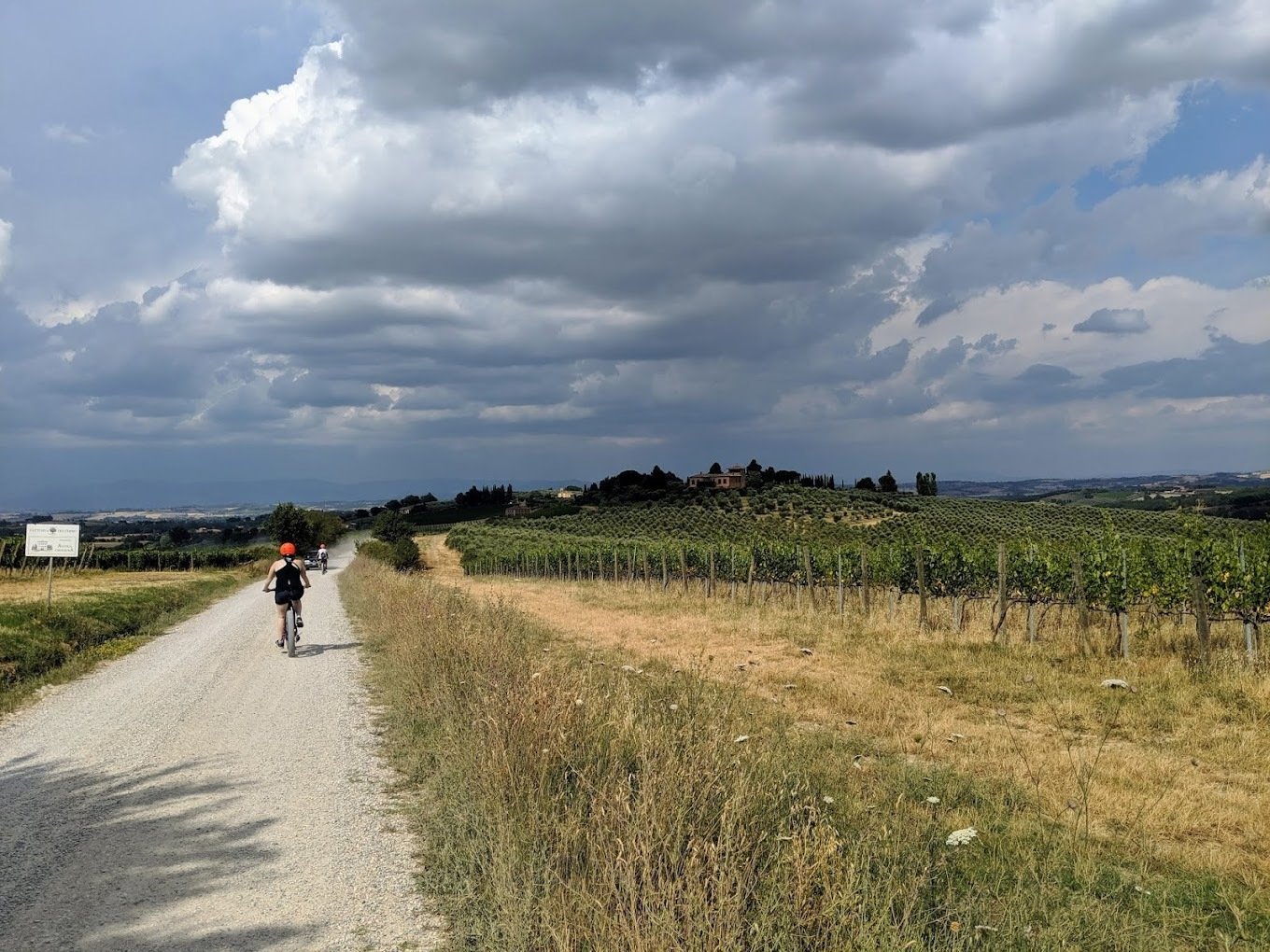 Gallery image 14998