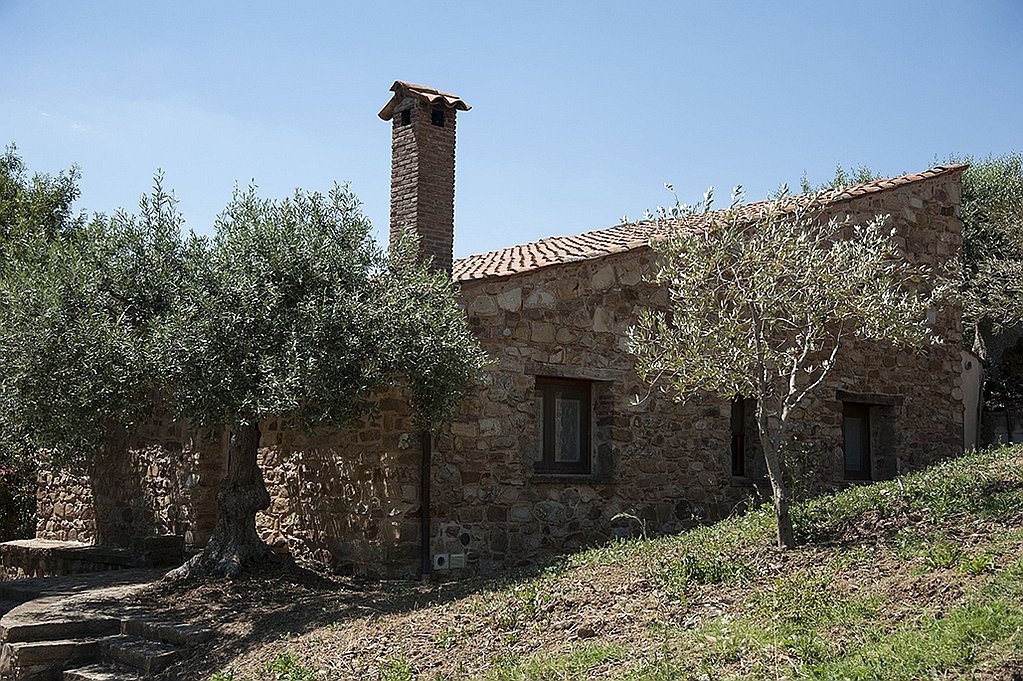 Gallery image 618