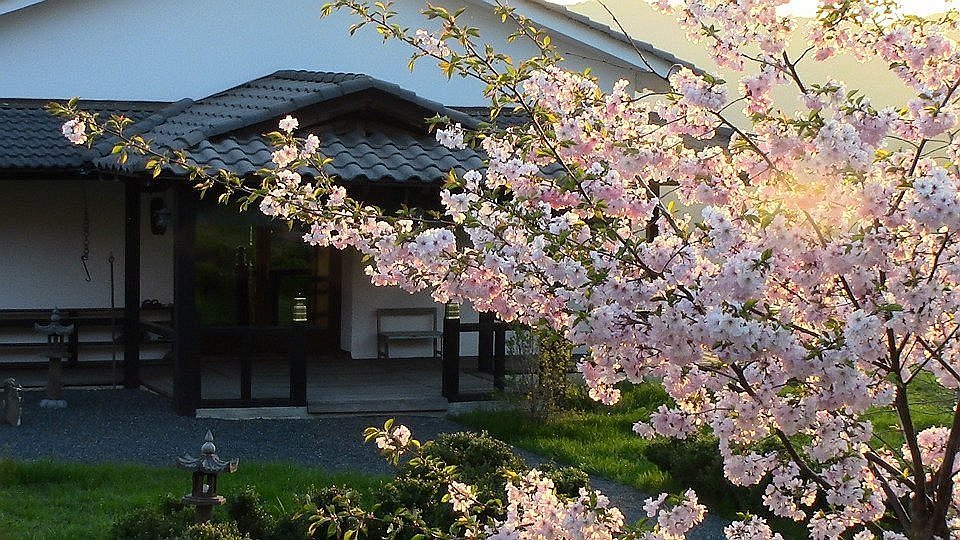 Gallery image 749