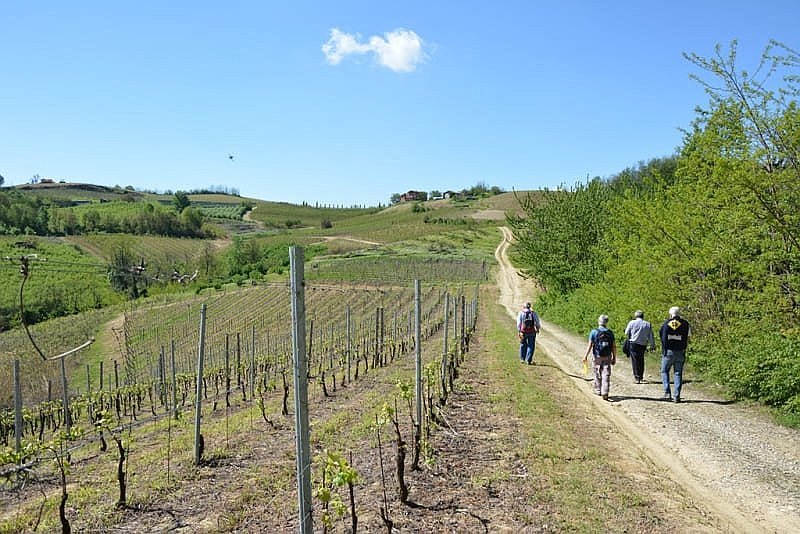 passeggiata-novello-smartway3