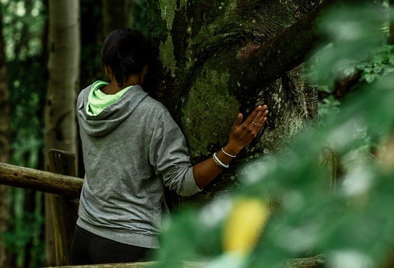 forest-bathing1