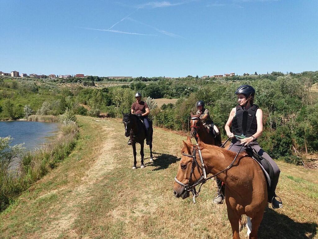 Gallery image 10114