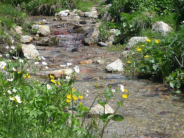 Venue image 11036