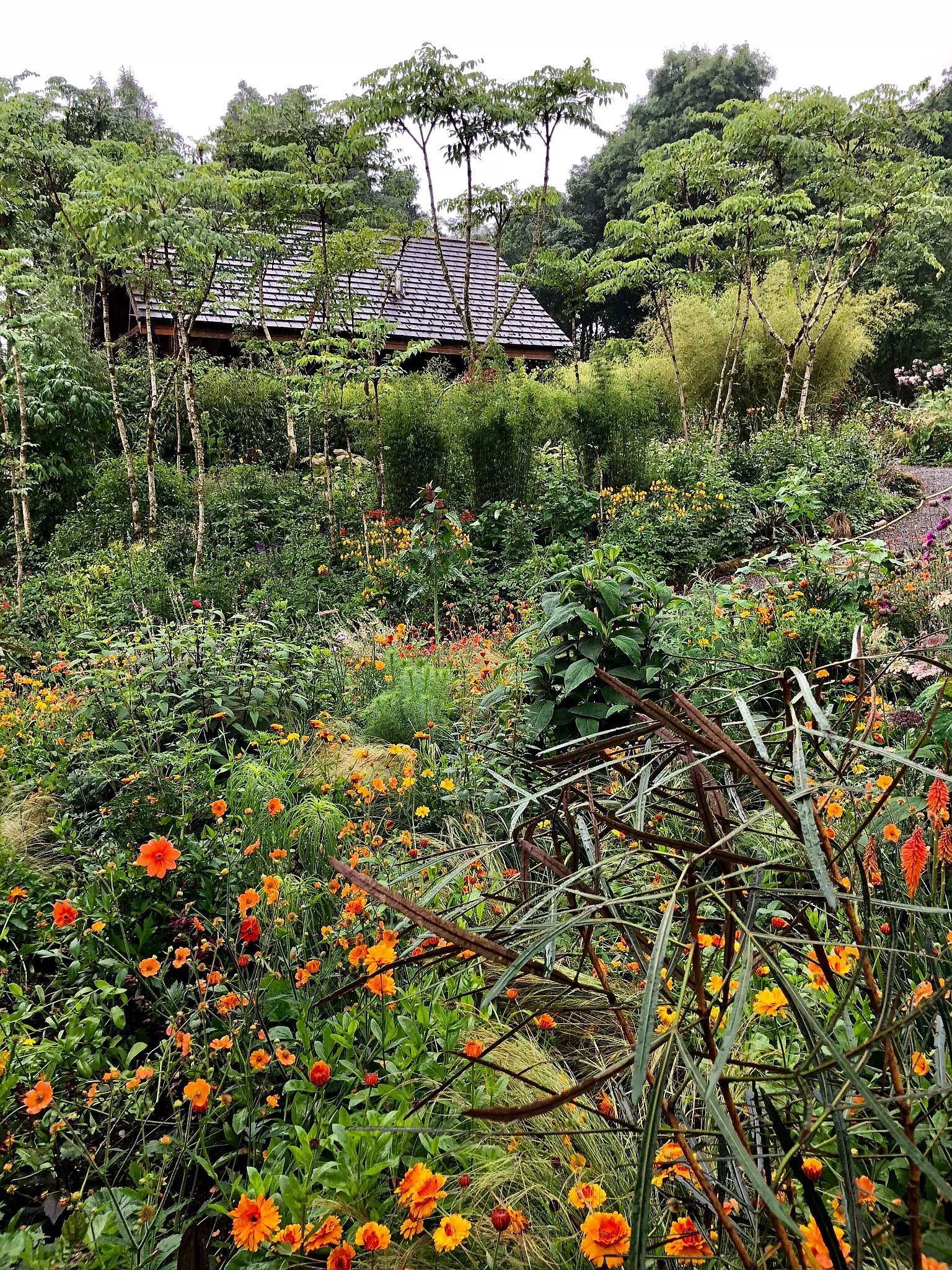 Gallery image 10954