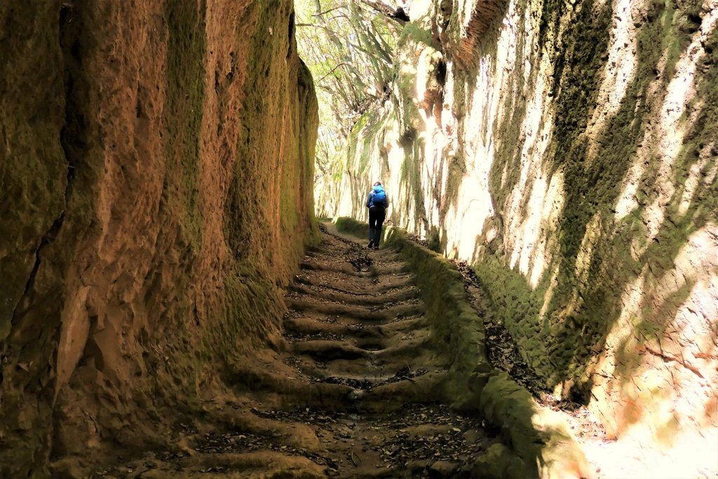 Echoes of Tuscany: Paths of Taste and Time