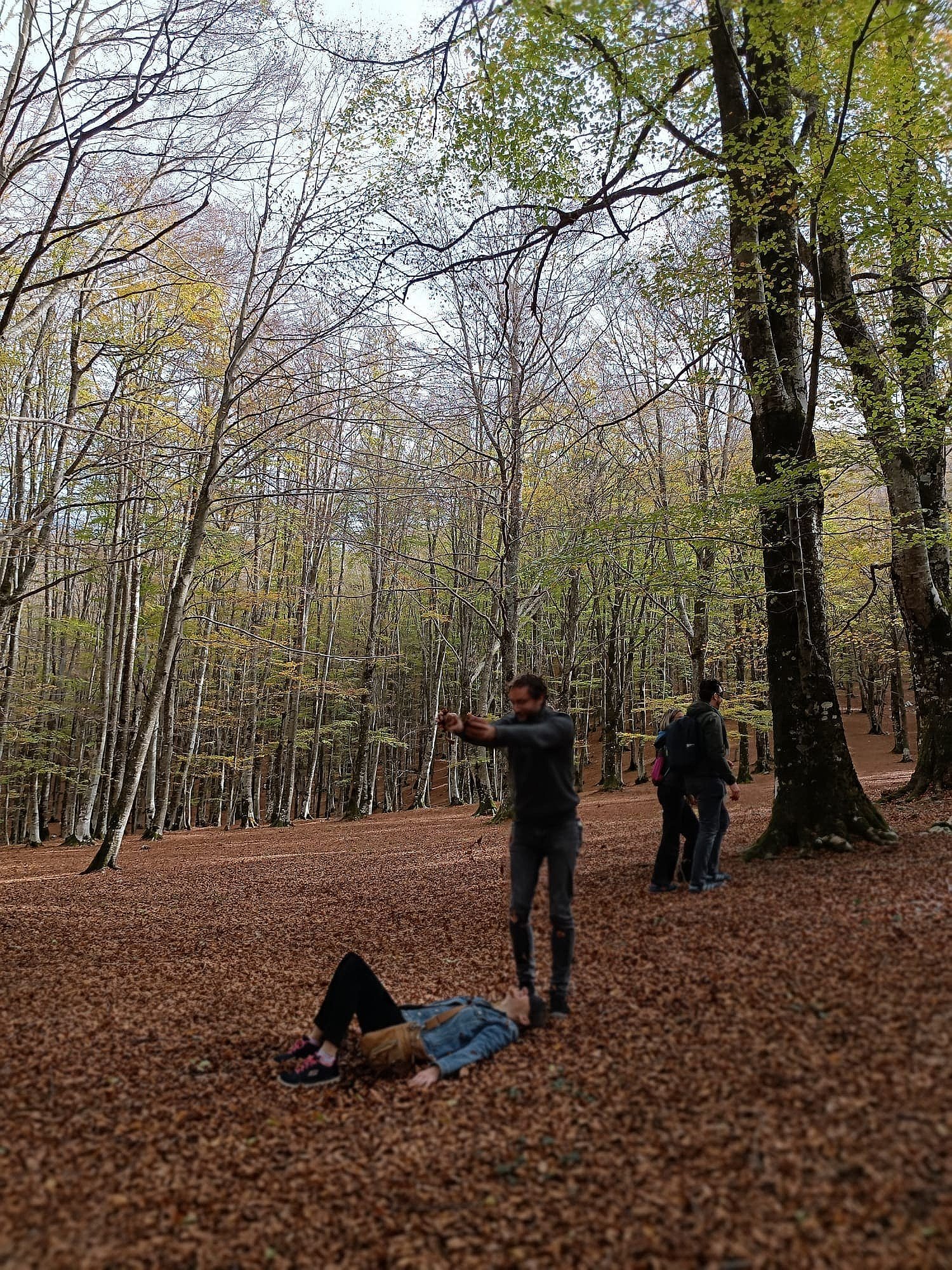 beech-forest-bathing-veroli-smartway3
