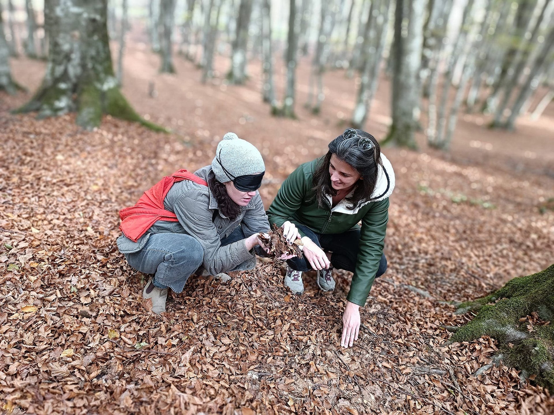 beech-forest-bathing-veroli-smartway5
