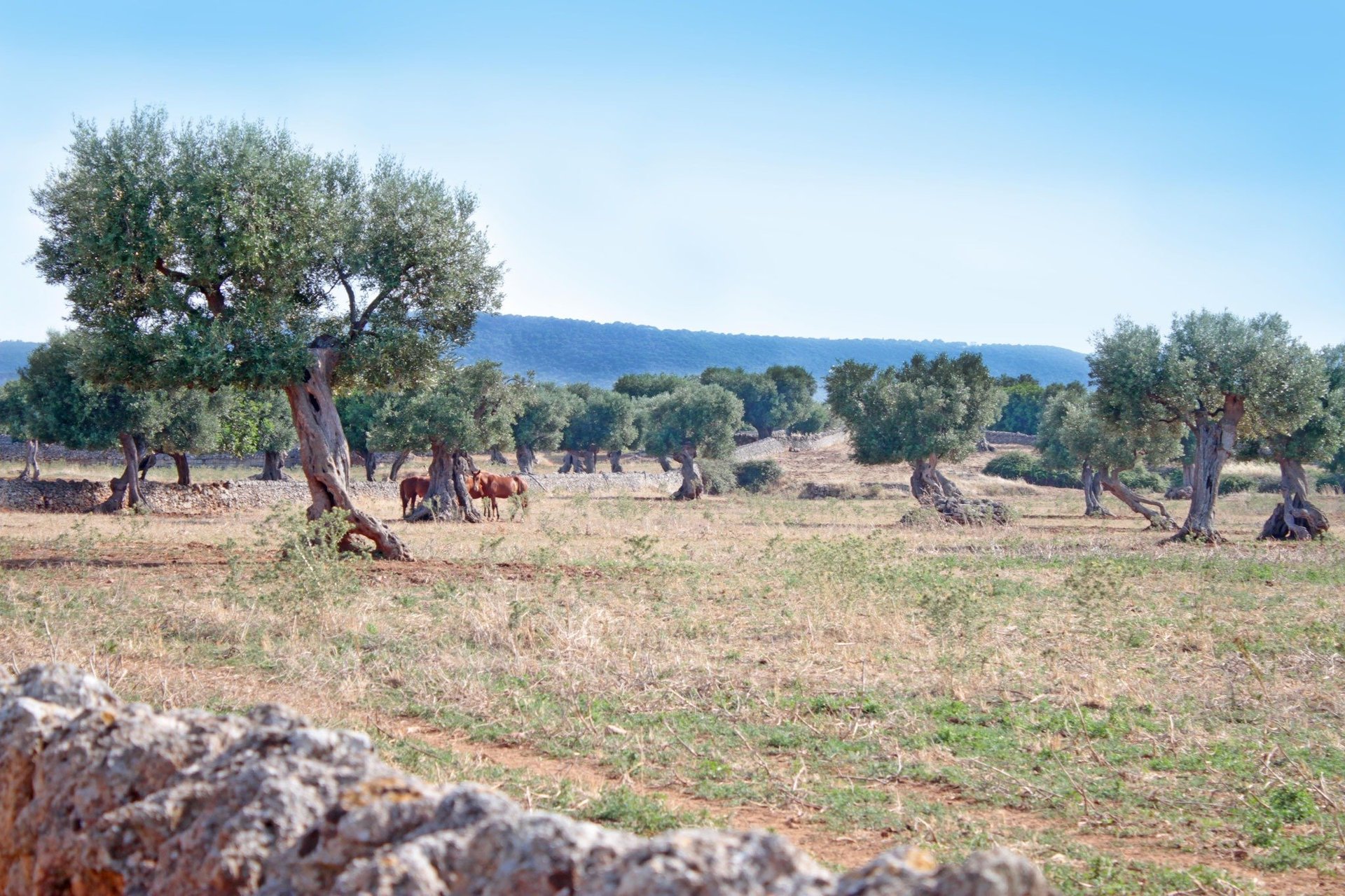Venue image 18134