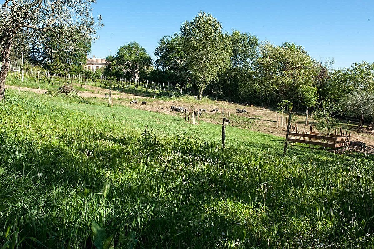 quad-tour-experience-montepulciano-smartway11
