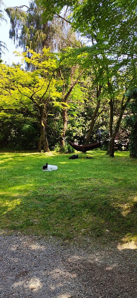 Gallery image 9846
