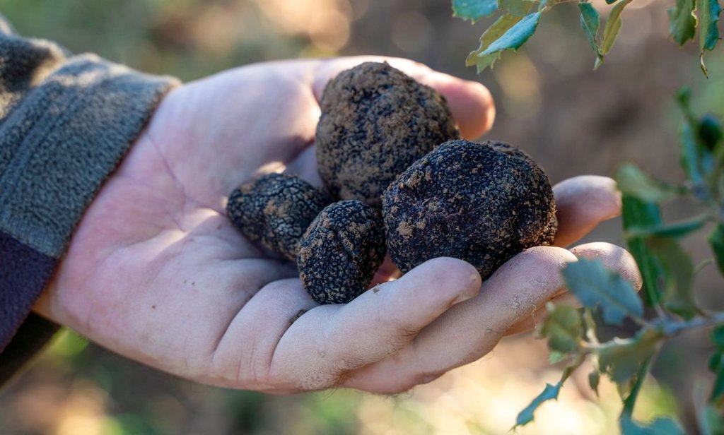 A Flavour Hunt Through Umbria