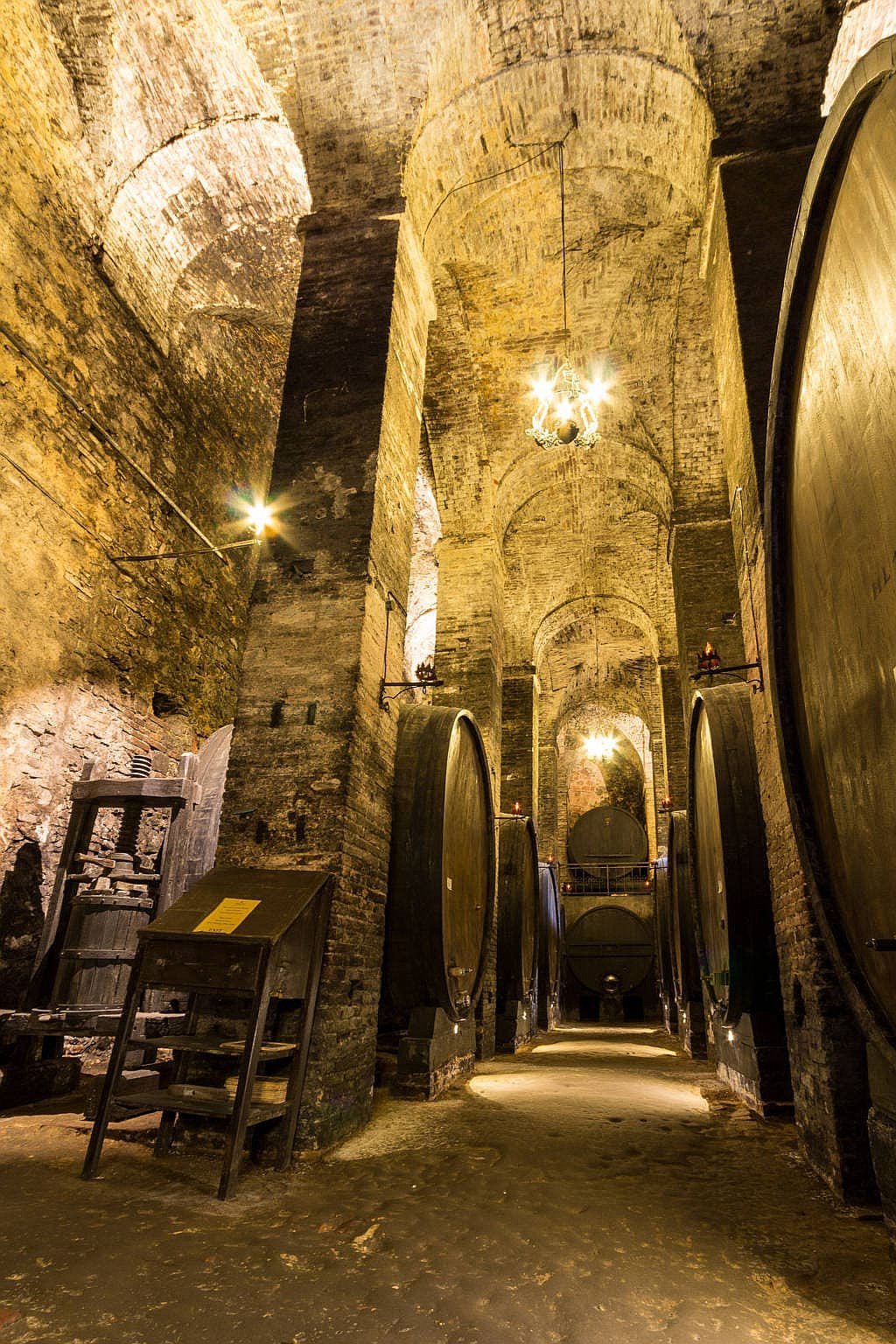wine-tasting-tour-ricci-montepulciano2