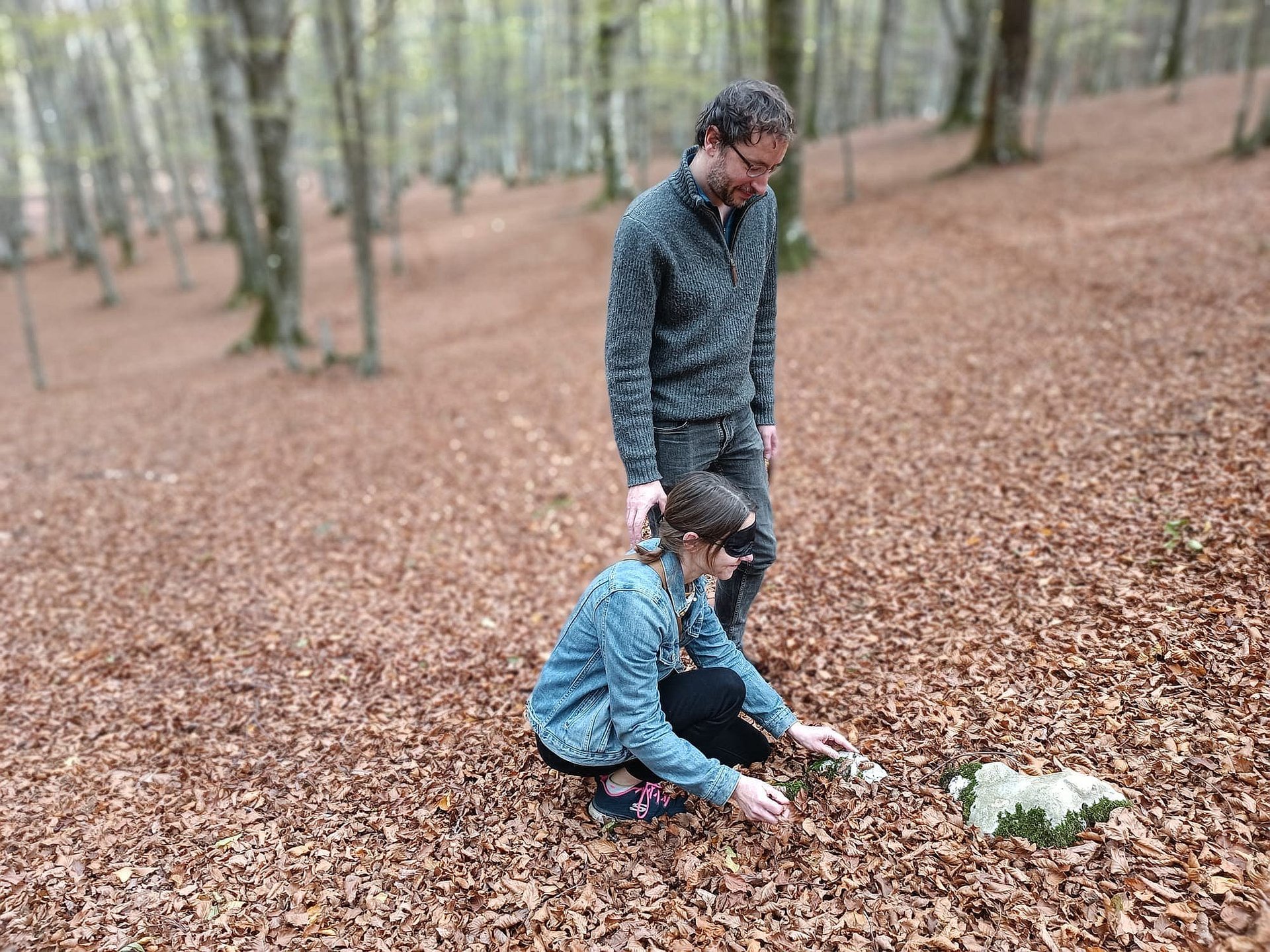 beech-forest-bathing-veroli-smartway1