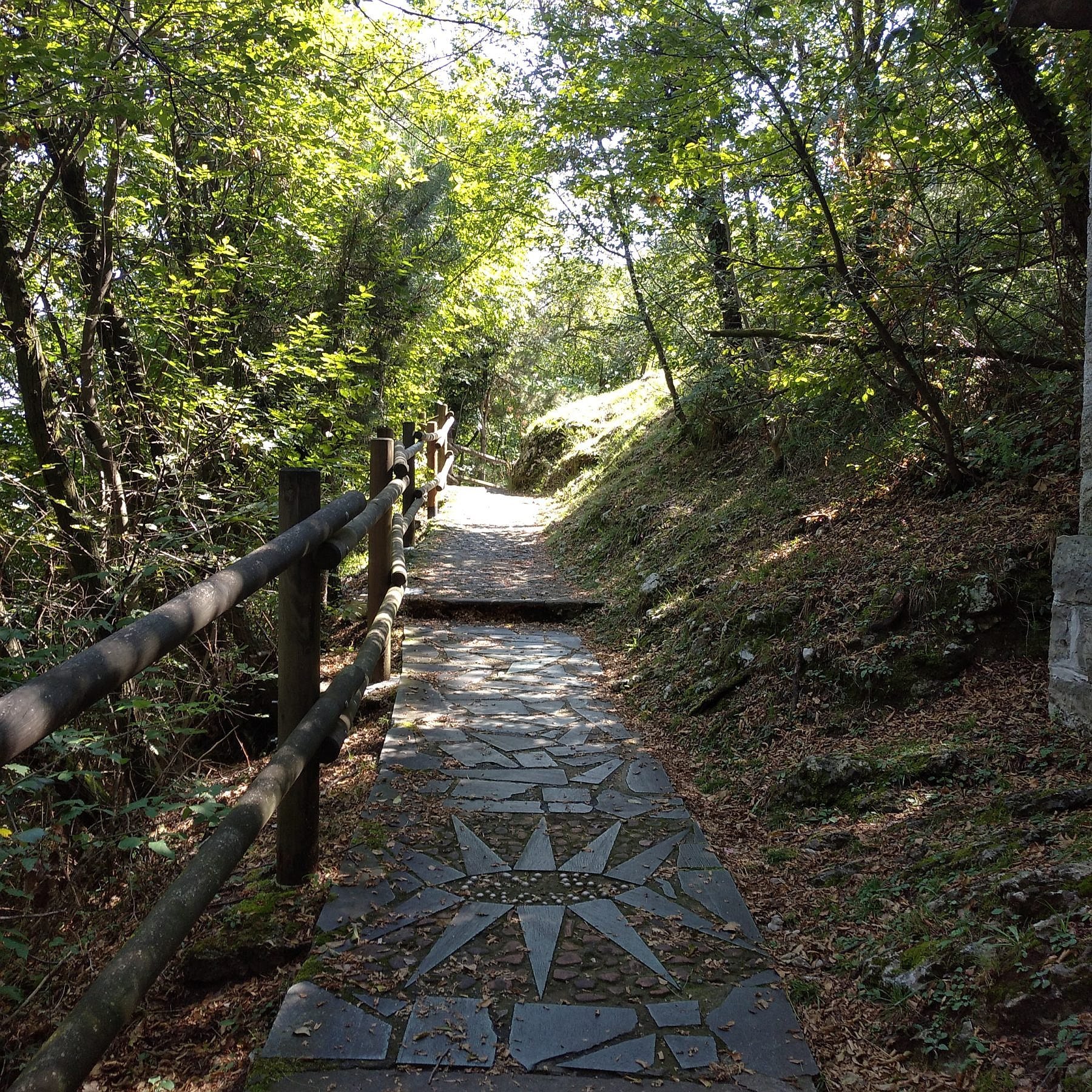 Gallery image 12892