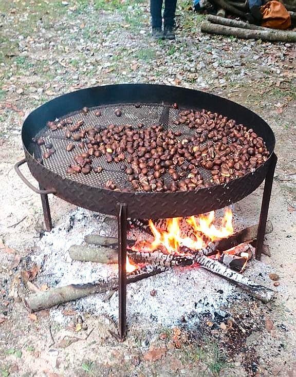 Gallery image 8929