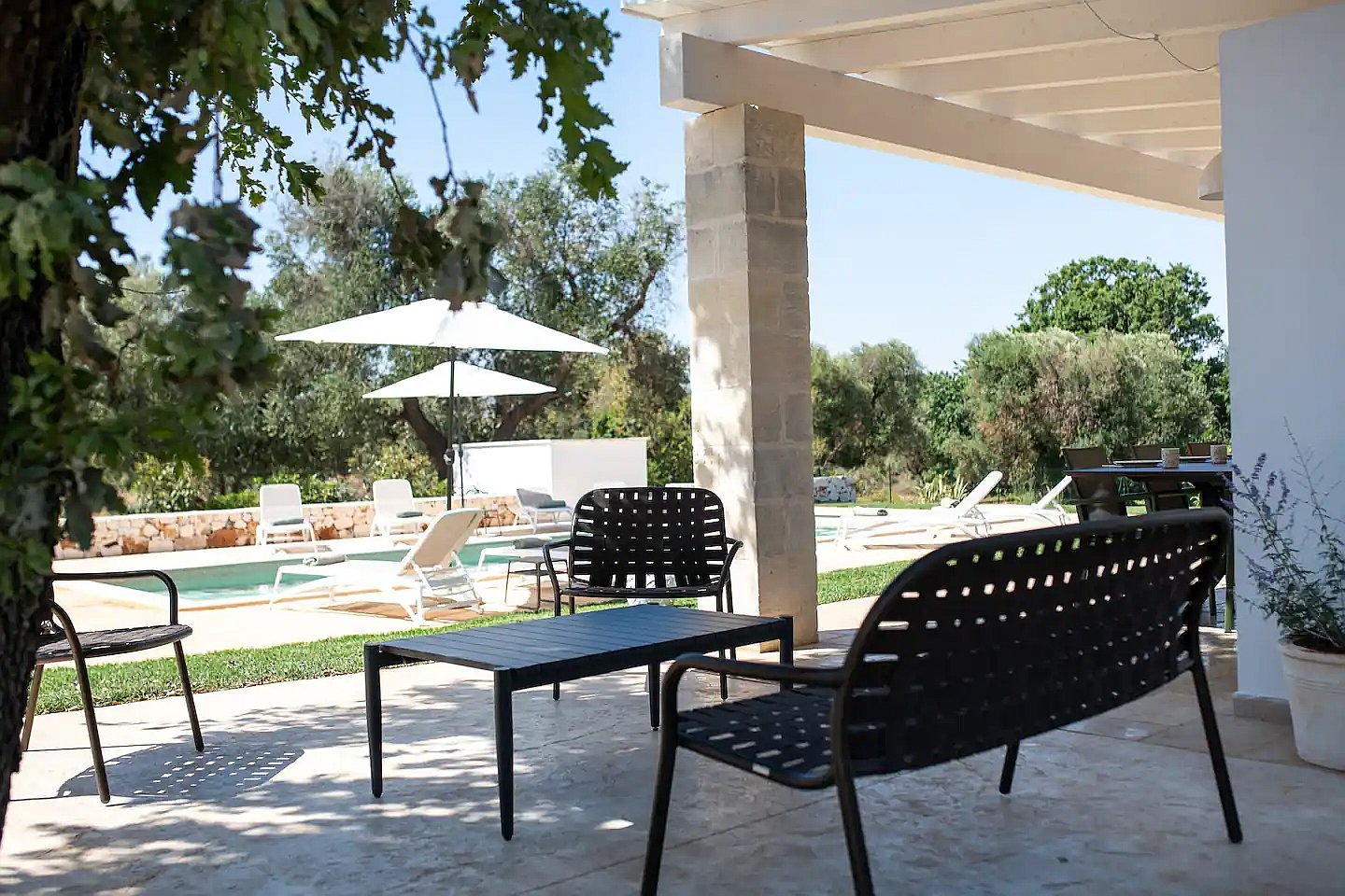 Venue image 12356