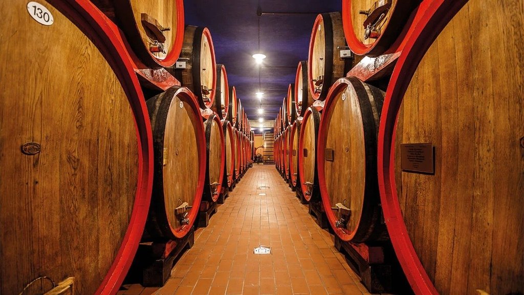 A trek through Amarone's heritage
