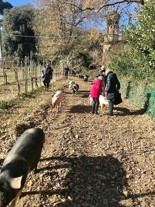 quad-tour-experience-montepulciano-smartway15