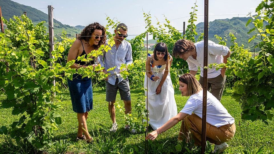 Discover the secrets of Prosecco