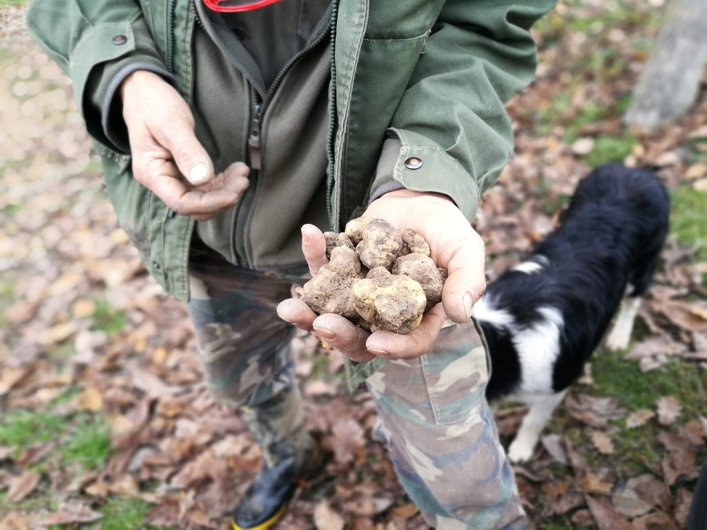 Bonding & Truffle hunting
