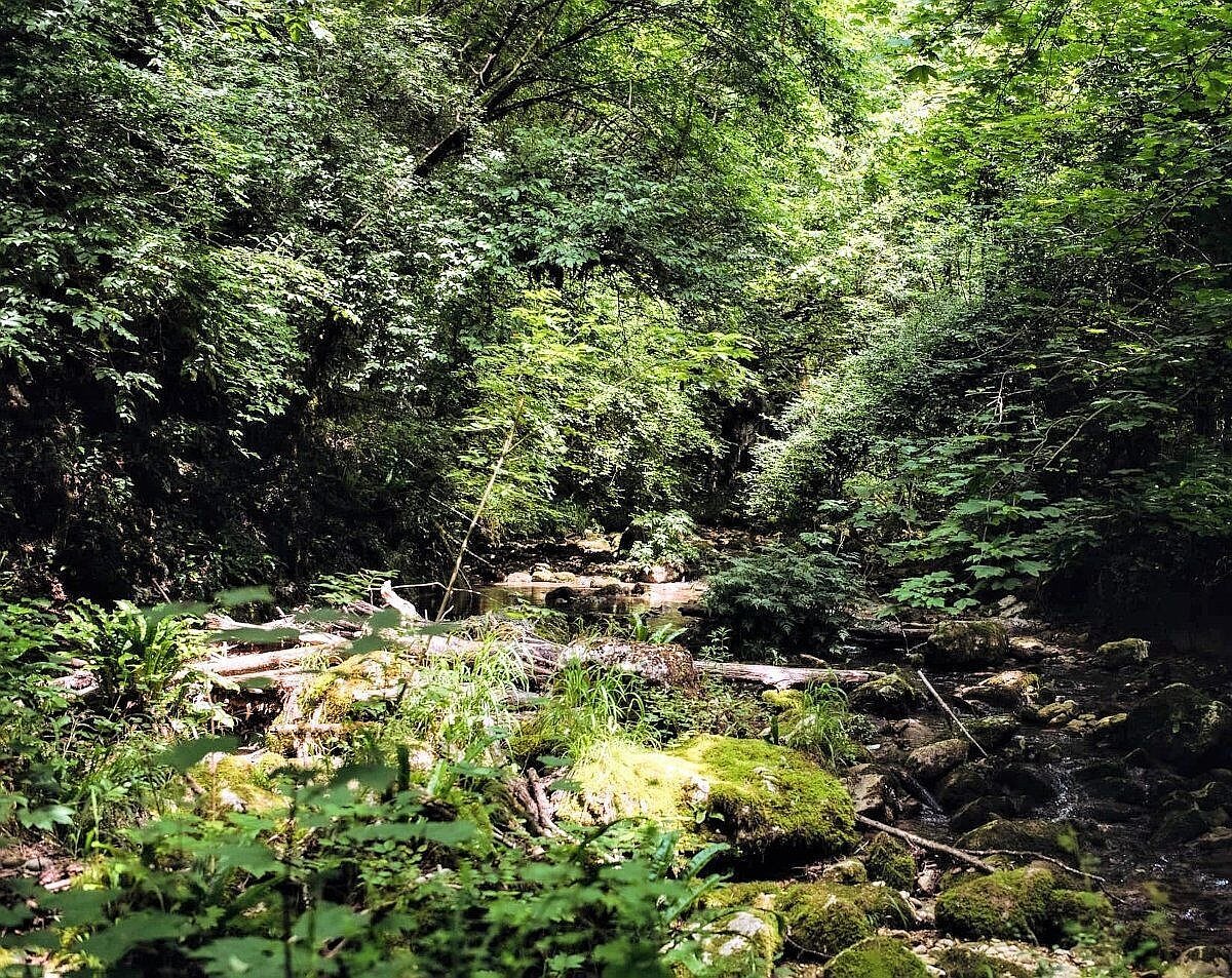Gallery image 12973
