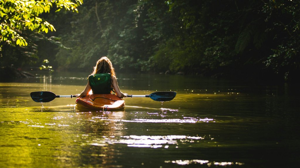 Pure Adrenaline On The Lakeside