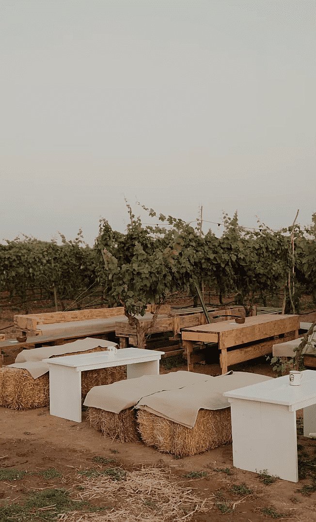 Venue image 12599