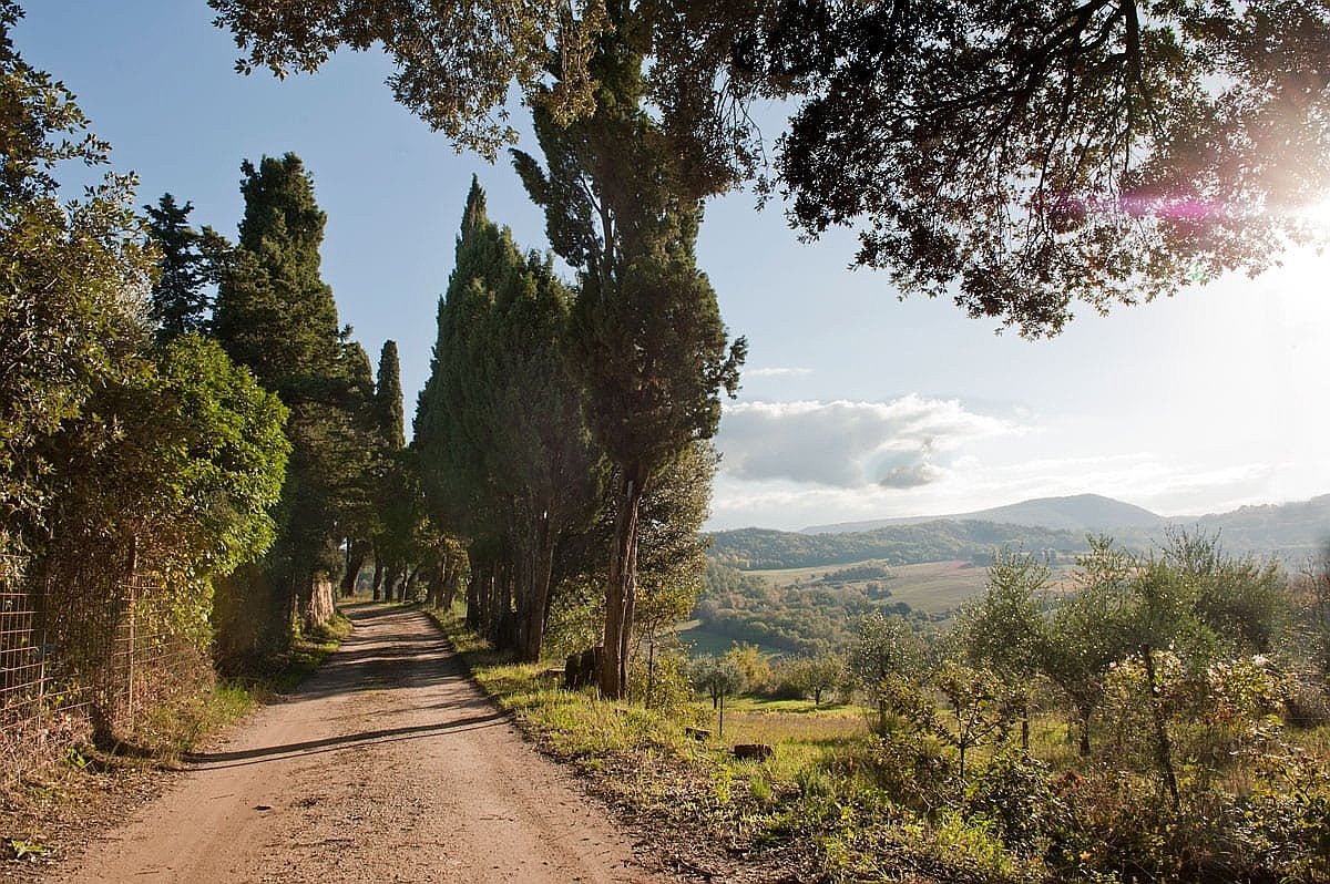 quad-tour-experience-montepulciano-smartway13