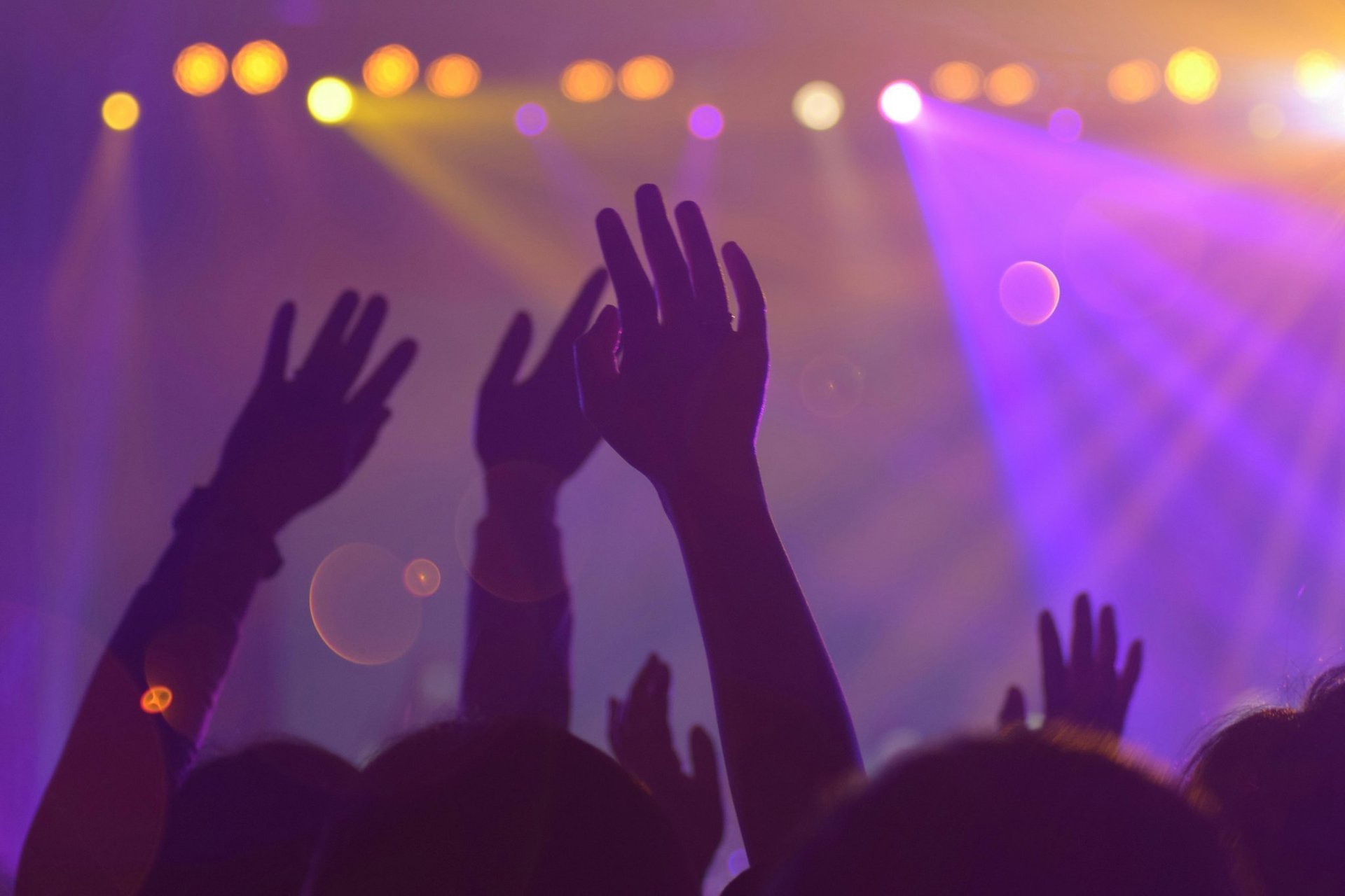 Venue image 15839