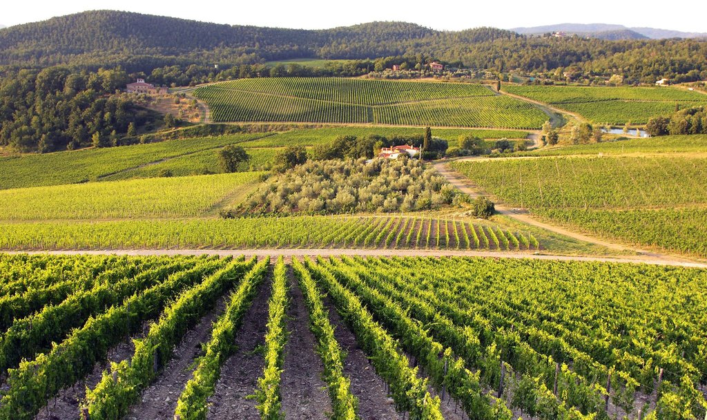 Montepulciano Trek & Wine