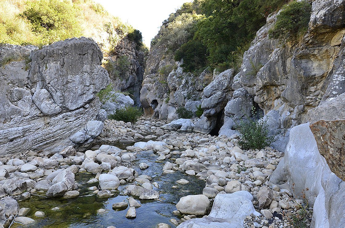 Gallery image 11284