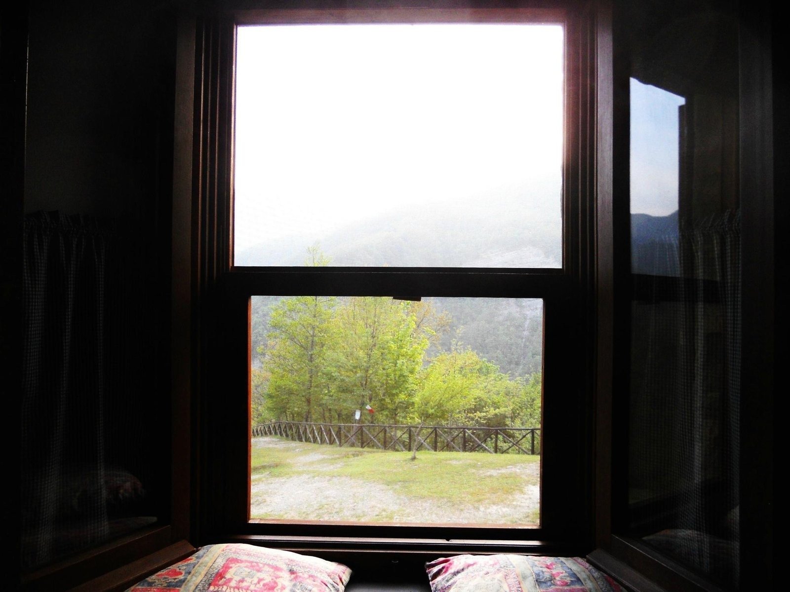 Gallery image 15794