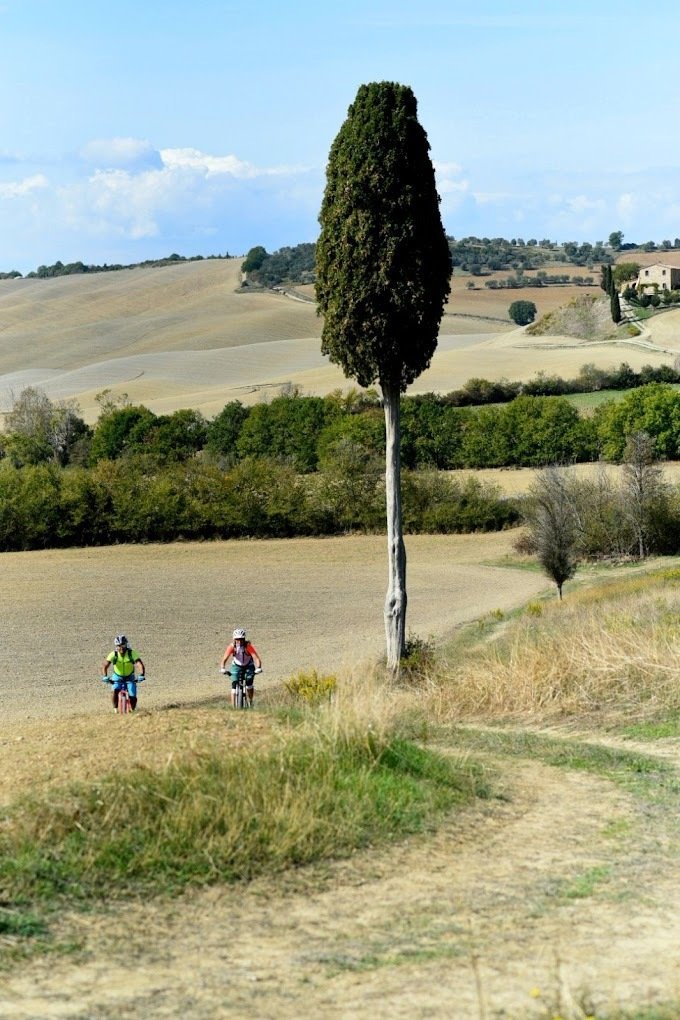 Gallery image 14995