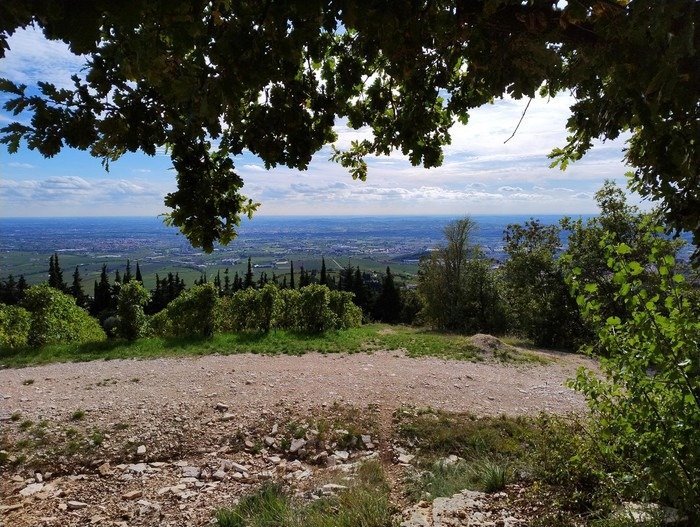 Gallery image 16886