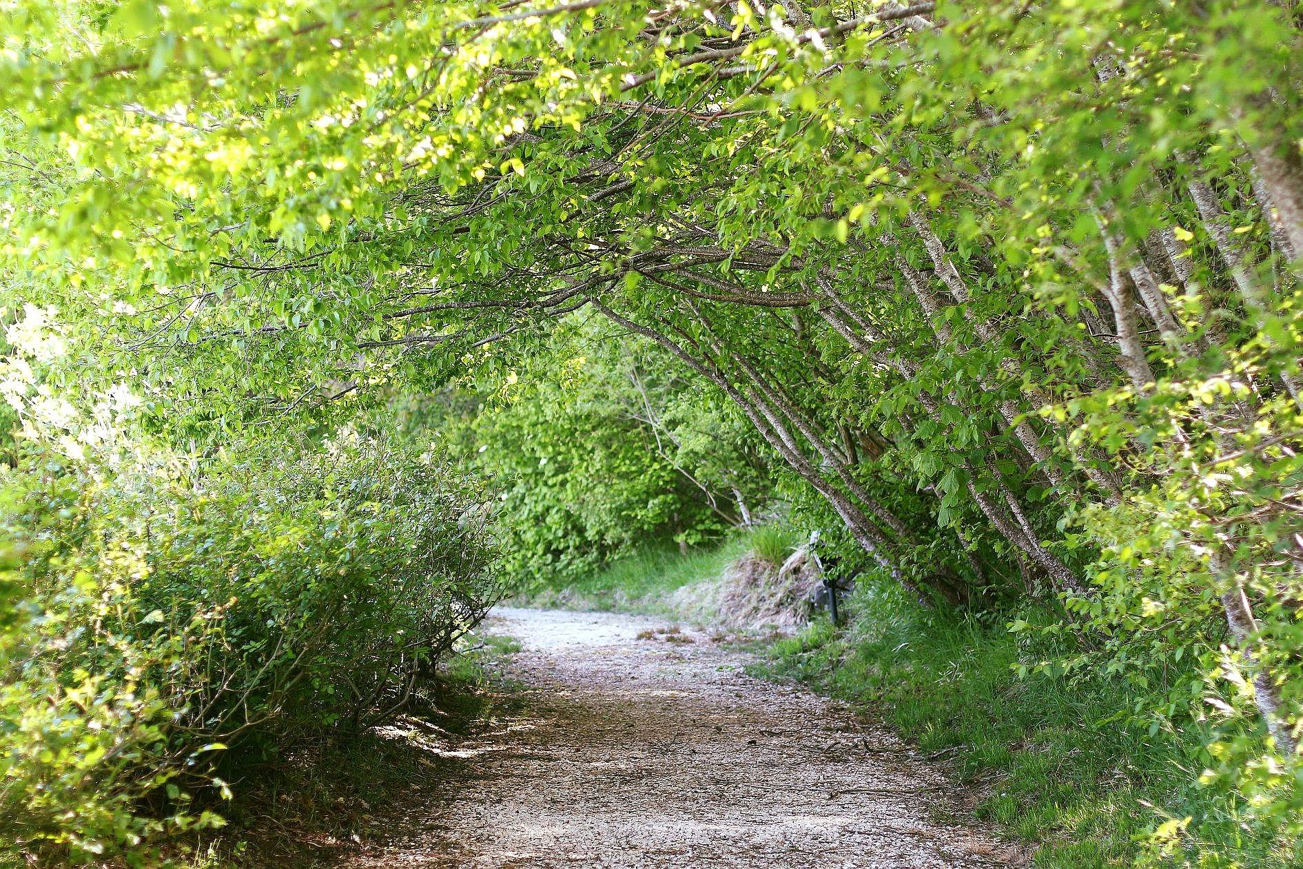 Venue image 12956