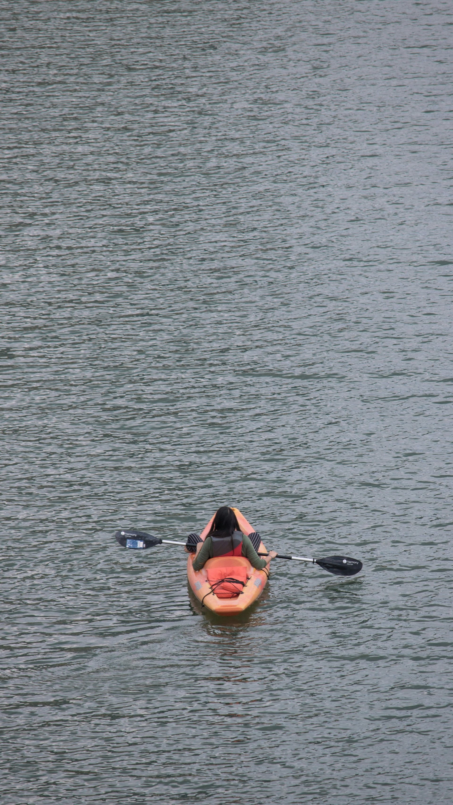 Gallery image 16940